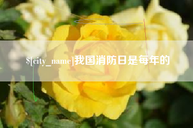 涟源我国消防日是每年的