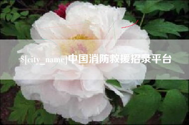 涟源中国消防救援招录平台