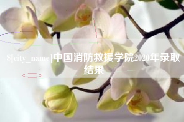 涟源中国消防救援学院2020年录取结果