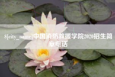 涟源中国消防救援学院2020招生简章电话