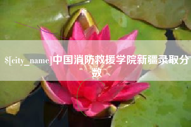 涟源中国消防救援学院新疆录取分数