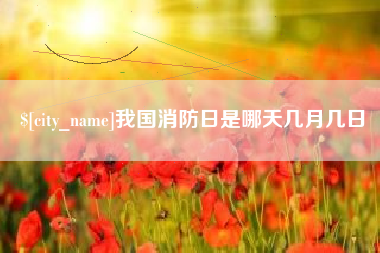 涟源我国消防日是哪天几月几日