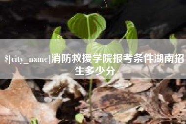 涟源消防救援学院报考条件湖南招生多少分