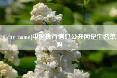 涟源中国执行信息公开网是黑名单吗