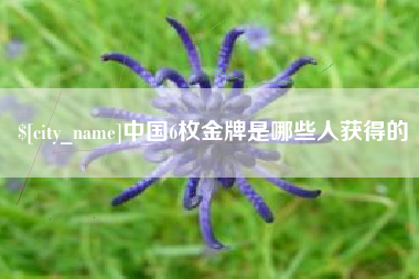 涟源中国6枚金牌是哪些人获得的