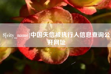 涟源中国失信被执行人信息查询公开网址