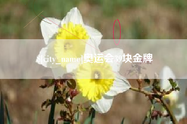 涟源奥运会39块金牌
