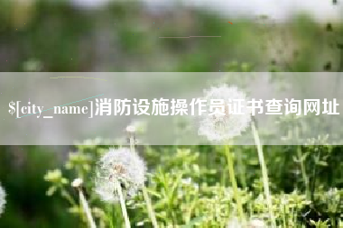 涟源消防设施操作员证书查询网址