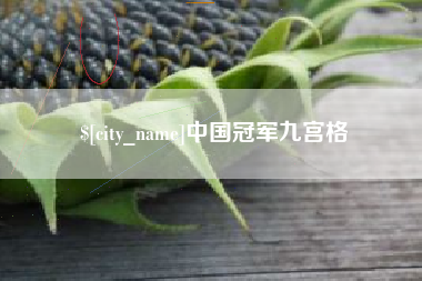 涟源中国冠军九宫格