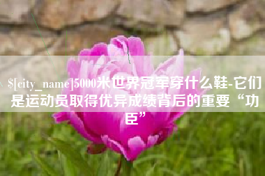 涟源5000米世界冠军穿什么鞋-它们是运动员取得优异成绩背后的重要“功臣”