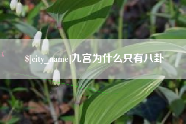 涟源九宫为什么只有八卦