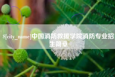 涟源中国消防救援学院消防专业招生简章