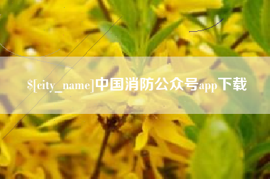 涟源中国消防公众号app下载
