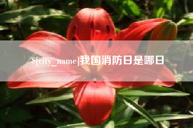 涟源我国消防日是哪日