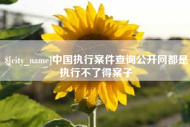 涟源中国执行案件查询公开网都是执行不了得案子