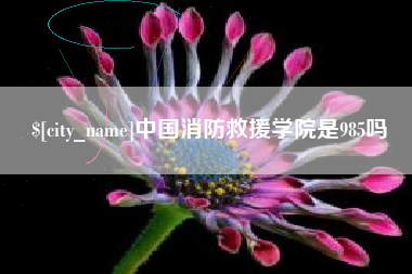 涟源中国消防救援学院是985吗