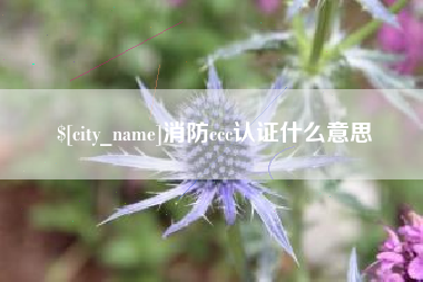 涟源消防ccc认证什么意思