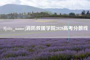 涟源消防救援学院2020高考分数线