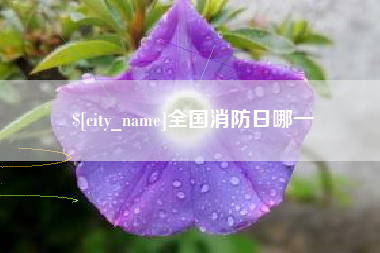 涟源全国消防日哪一
