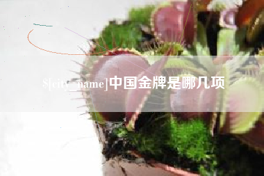 涟源中国金牌是哪几项