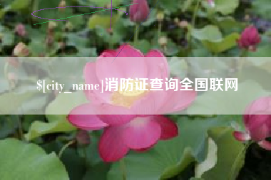 涟源消防证查询全国联网