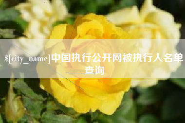 涟源中国执行公开网被执行人名单查询