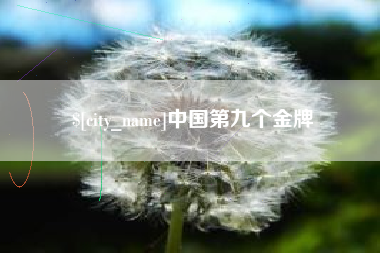 涟源中国第九个金牌