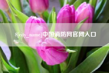 涟源中国消防网官网入口