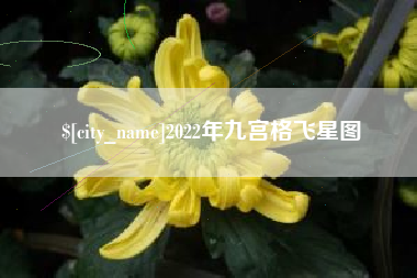 涟源2022年九宫格飞星图