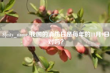 涟源我国的消防日是每年的11月9日对吗？