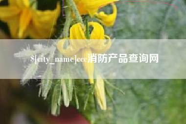 涟源ccc消防产品查询网