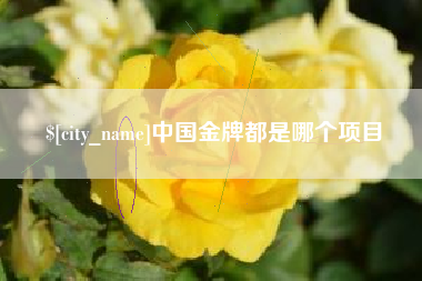 涟源中国金牌都是哪个项目
