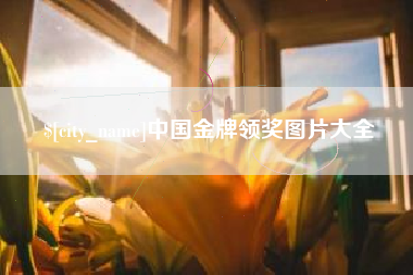 涟源中国金牌领奖图片大全
