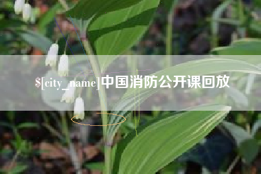 涟源中国消防公开课回放