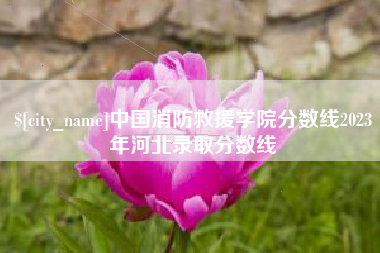 涟源中国消防救援学院分数线2023年河北录取分数线