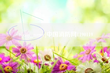 涟源中国消防网1190119