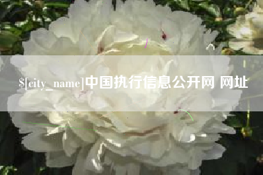 涟源中国执行信息公开网 网址