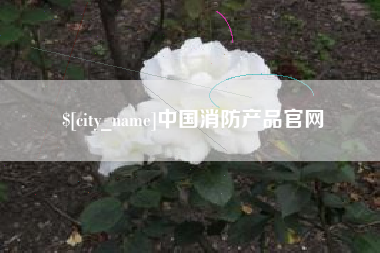 涟源中国消防产品官网