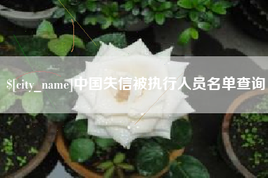 涟源中国失信被执行人员名单查询