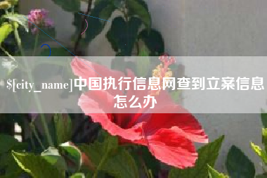 涟源中国执行信息网查到立案信息怎么办
