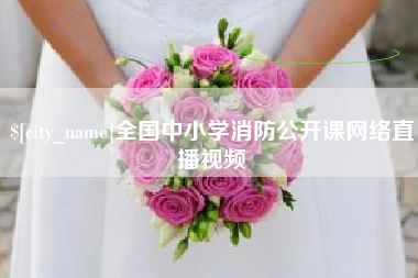 涟源全国中小学消防公开课网络直播视频
