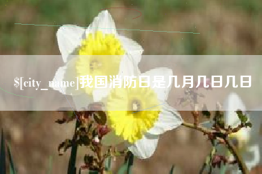 涟源我国消防日是几月几日几日