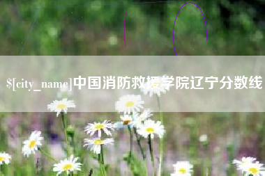 涟源中国消防救援学院辽宁分数线