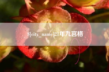 涟源21年九宫格