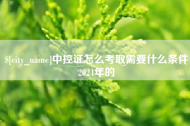 涟源中控证怎么考取需要什么条件2024年的