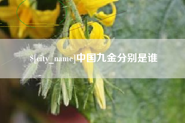 涟源中国九金分别是谁