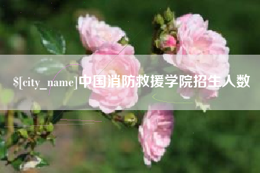 涟源中国消防救援学院招生人数