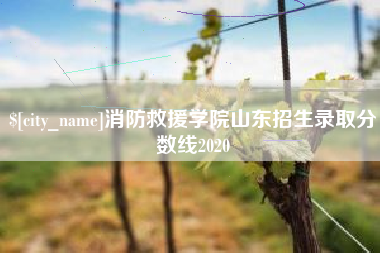 涟源消防救援学院山东招生录取分数线2020