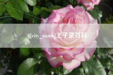 涟源王子豪百科