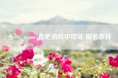 涟源合肥消防中控证 报名条件